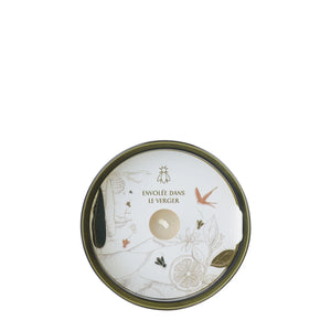 Candela Fig Bee