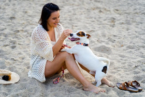 Laisse pour chien - Boho