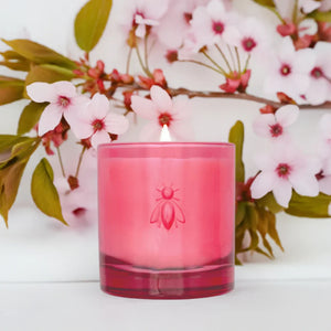 Candela Cherry Blossom Bee