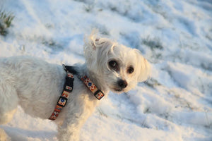 Harnais pour chien avec empiècements cuir – Boho