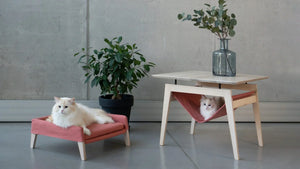 Mesa Kikko y cama para gato Lulu - Frambuesa