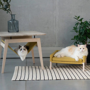 Kikko Beistelltisch & Lulu Katzenbett – Honig