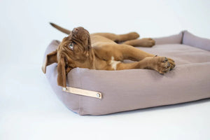 Cachorro marrón descansando en una cama para perros de tela color topo con etiqueta de cuero.