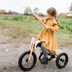 Extension tricycle pour draisienne 3-en-1 leg&go