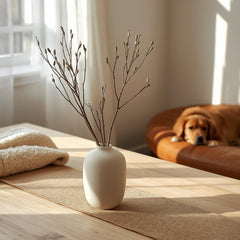 Slow Living: The Art of Curating a Mindful Home Environment