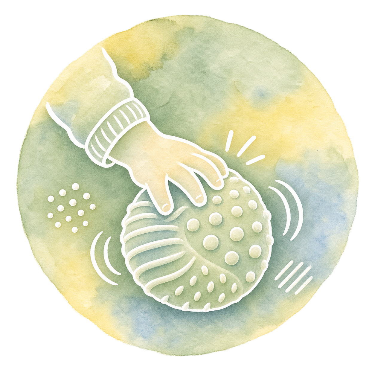 Explore Through the Senses
