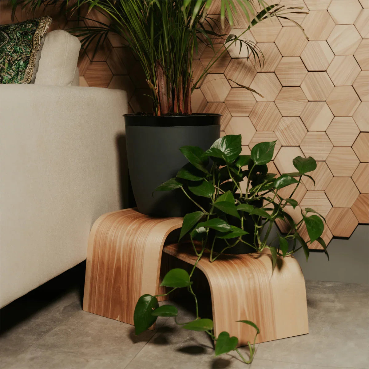 Supporti curvi in legno per piante con piante in vaso in un soggiorno moderno con parete in legno esagonale
