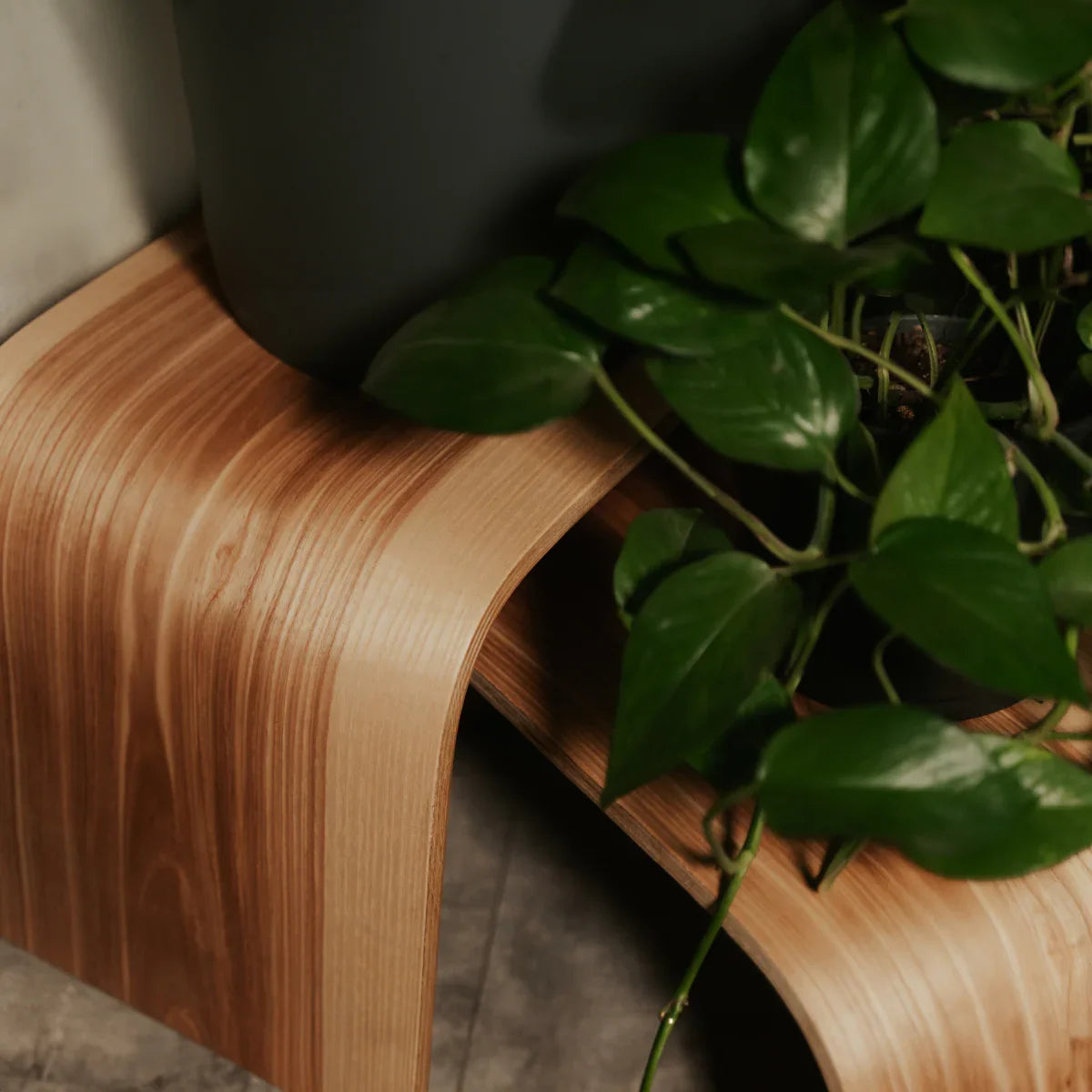 Supporto curvo in legno per piante con finitura naturale venata e pianta verde in vaso