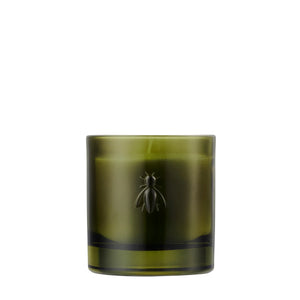 Candela Fig Bee