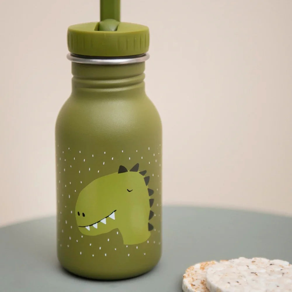 Botella de agua infantil de acero inoxidable verde con estampado de dinosaurio y tapa con pajita