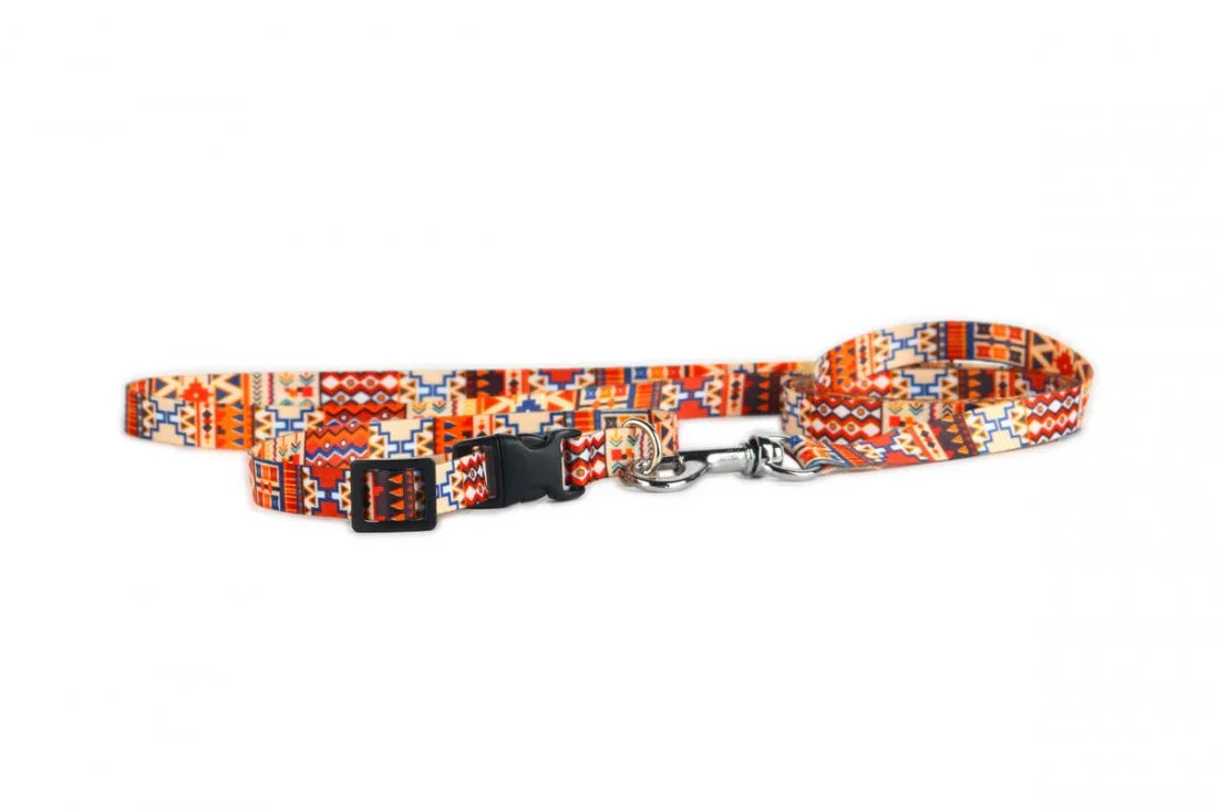 Laisse pour chien - Boho