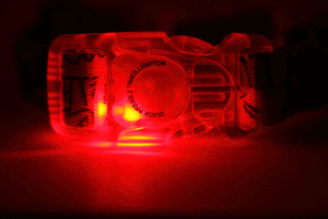 Hundehalsband mit LED-Kunststoffschnalle – Boho