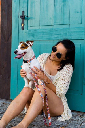 Laisse pour chien - Boho