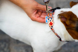 Collier à attache rapide - Boho