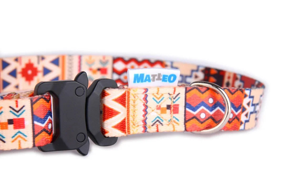 Collier pour chien à boucle plastique - Boho