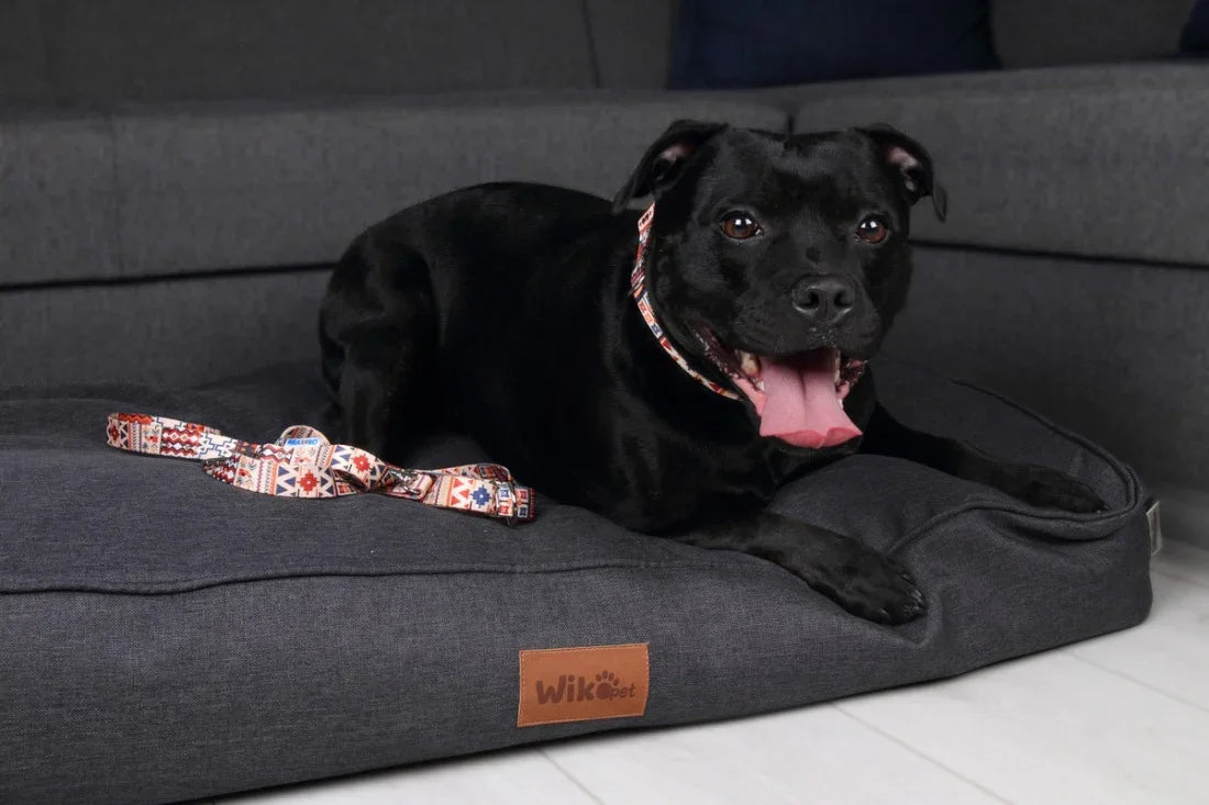 Collier pour chien à boucle plastique - Boho