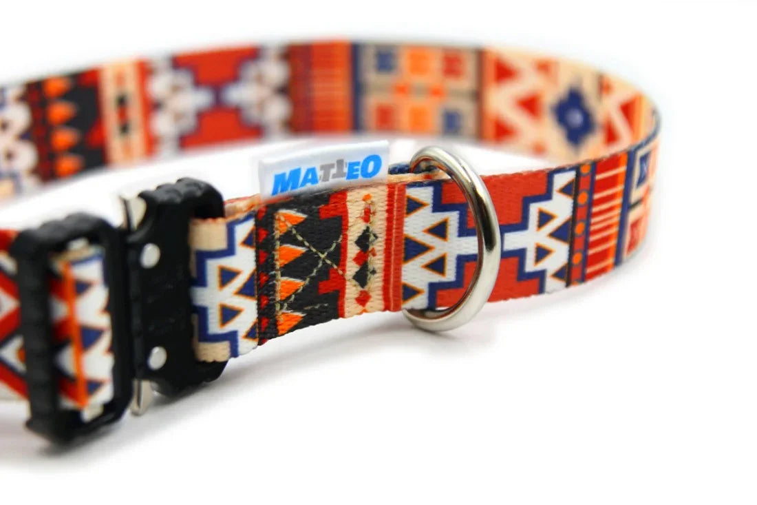 Collier pour chien à boucle plastique - Boho