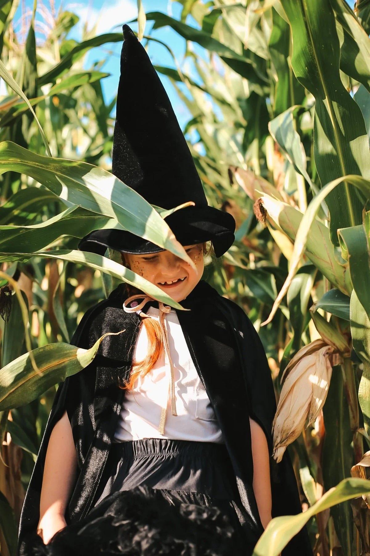 Child wearing black magic cape and pointed hat while walking through tall corn plants