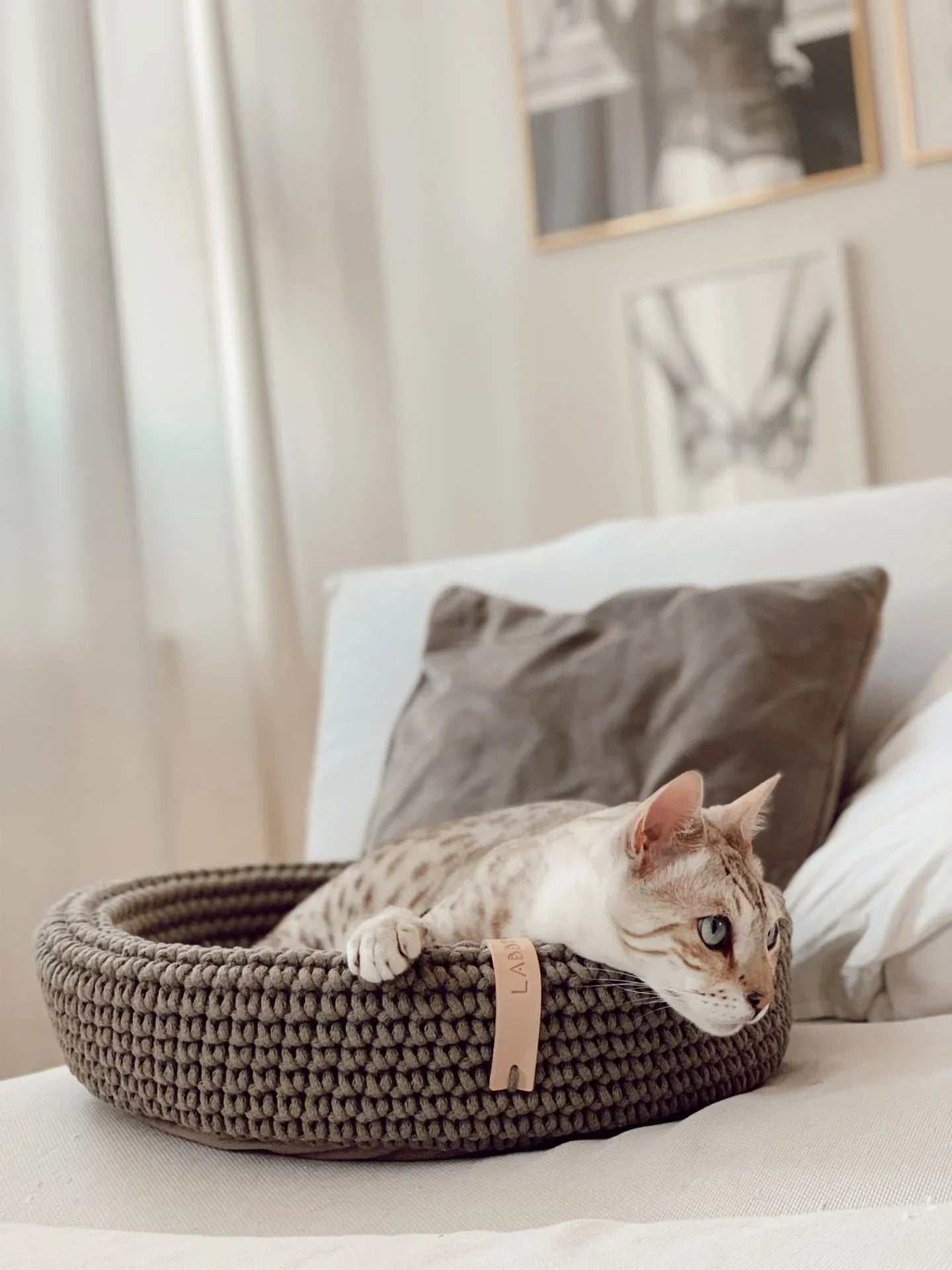 light brown knitted pet bed with a beige cat lounging inside, placed on a sofa