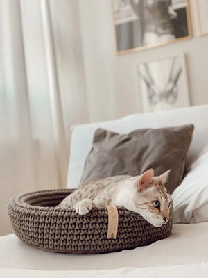 Cuccia per animali in maglia color marrone chiaro con gatto beige che riposa all'interno, posizionata su un divano