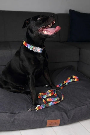 Collier avec boucle LED plastique - Pixels