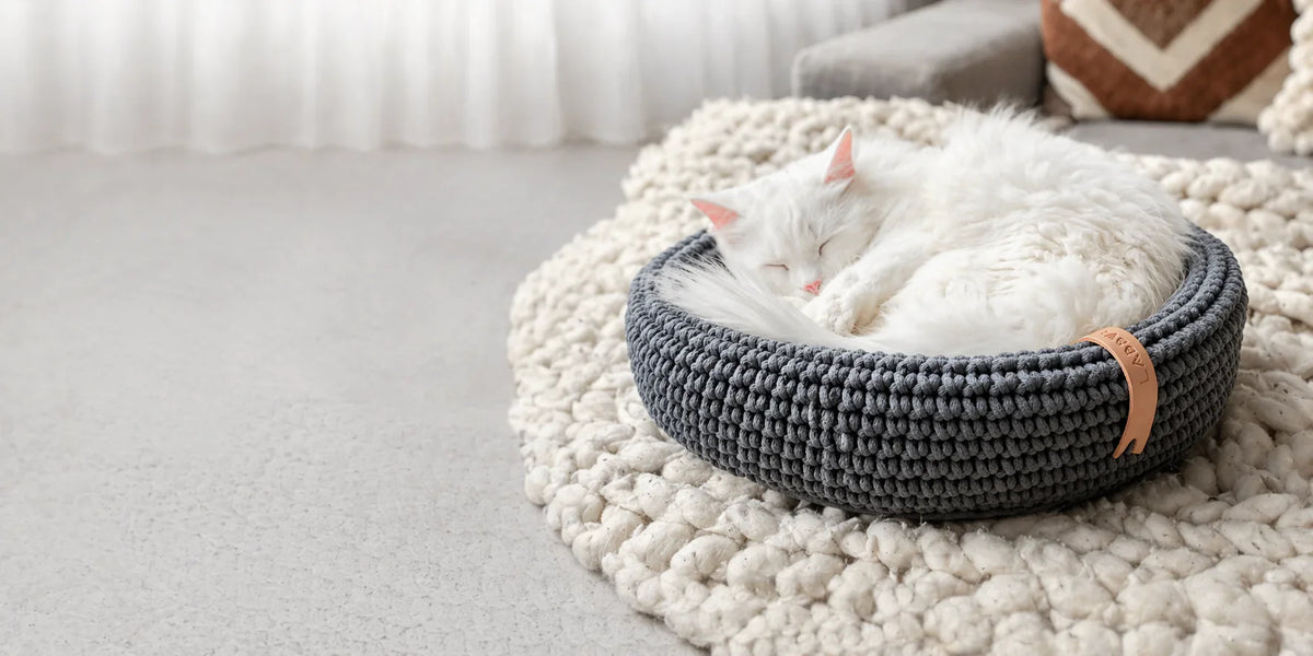 Cat Products