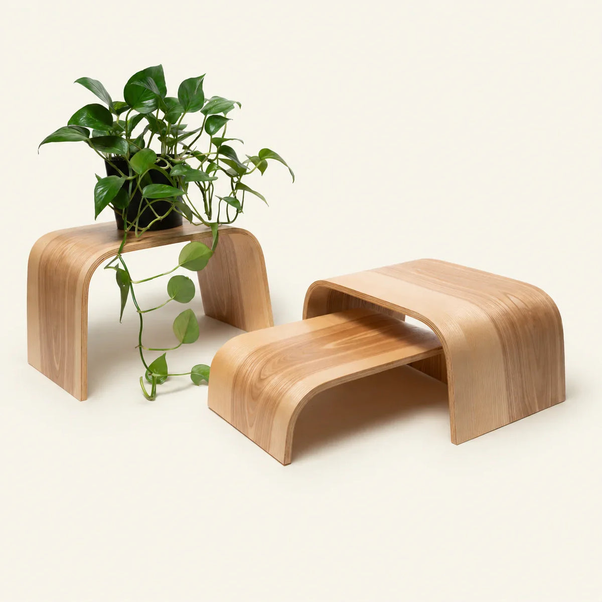 Giardino e outdoor