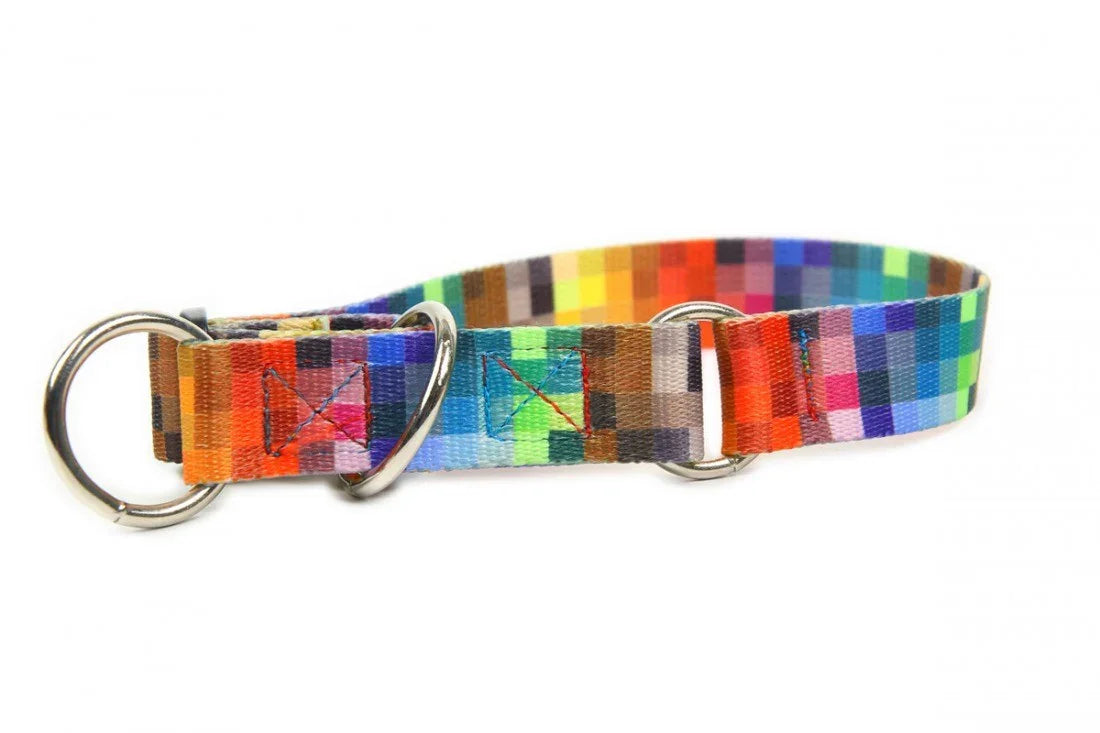 Zugstopp-Halsband – Pixels
