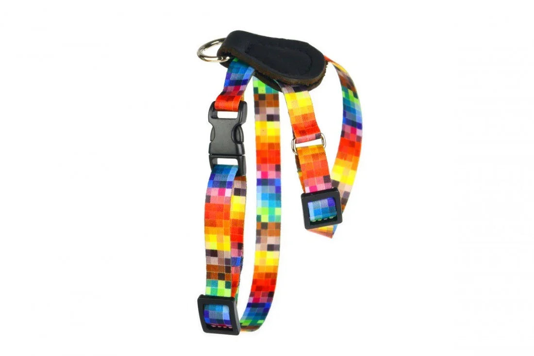 Harnais avec empiècements cuir – Pixels