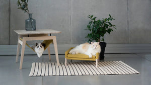 Table Kikko et couchage pour chat Lulu - Miel
