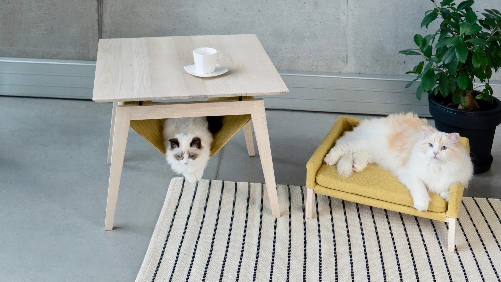 Table Kikko et couchage pour chat Lulu - Miel