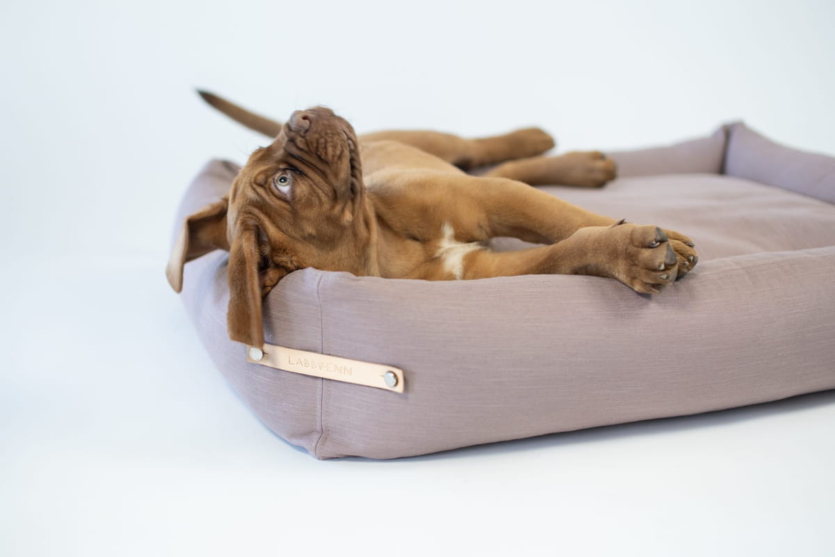 Labbvenn Stokke Dog Bed | Washable Pet Bed in Pink