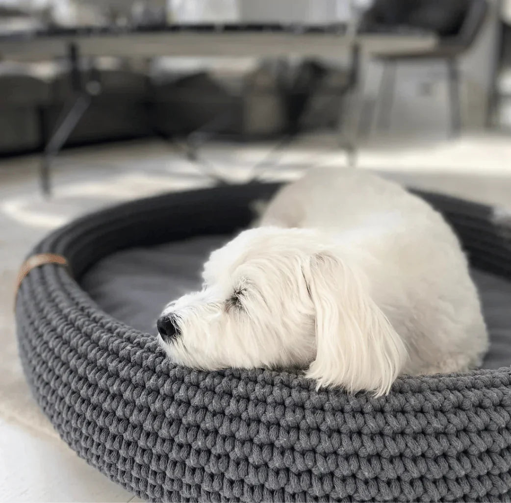 Cane bianco che riposa in una cuccia rotonda in maglia grigio scuro con soffice cuscino