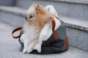 Borsa porta-cane e borsa personale Liiva - Grigio