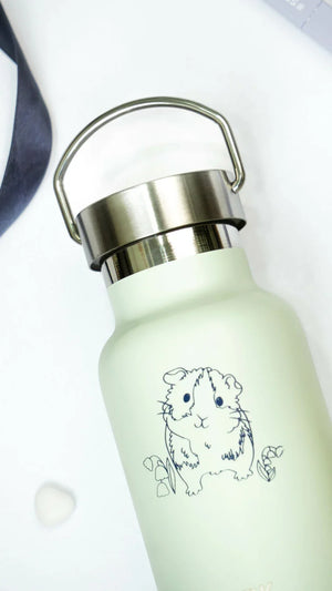 Gourde / Thermos – Cochon d'Inde – Vert clair 350 ml, acier inoxydable