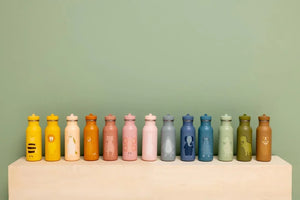 Gourdes en inox colorées ornées d’animaux et de dinosaures, alignées sur une surface beige sur fond vert.