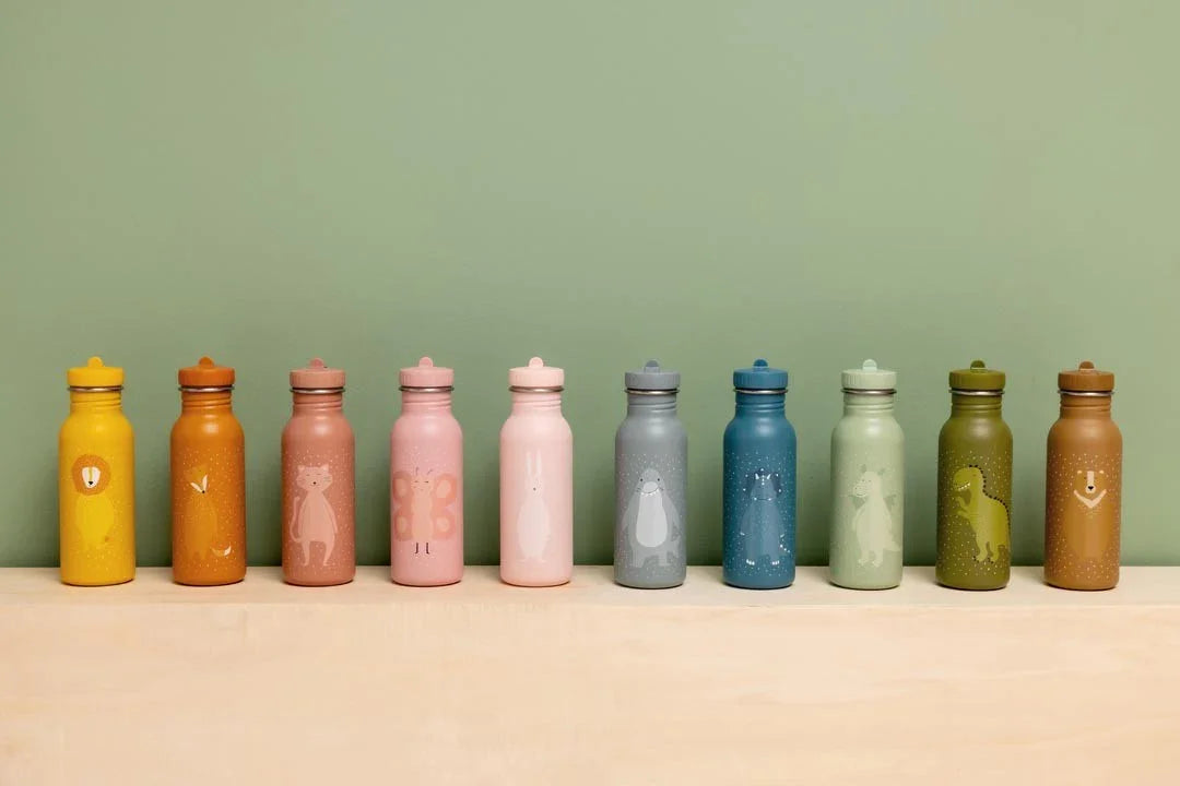 colorful stainless steel water bottles with animal illustrations, matte finish, 500 ml