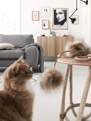 Jouet pour chat Tollo - Cappuccino