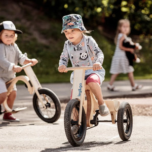 Extension tricycle pour draisienne 3-en-1 leg&go