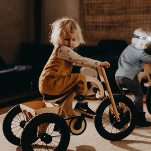 Extension tricycle pour draisienne 3-en-1 leg&go