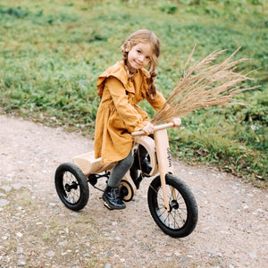 Extension tricycle pour draisienne 3-en-1 leg&go