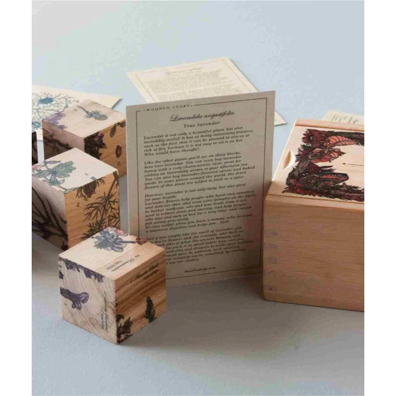 Wooden story blocks with lavender botanical prints, natural wood finish, educational plant facts card