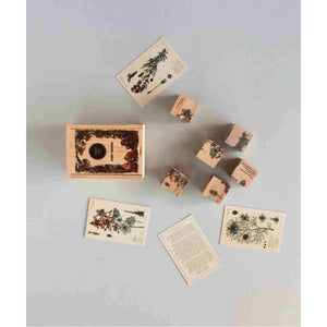 Botanical illustration cards and wooden blocks with vintage plant prints, educational home decor set