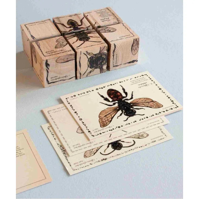Wooden bee-themed blocks and vintage-style insect cards with detailed illustrations
