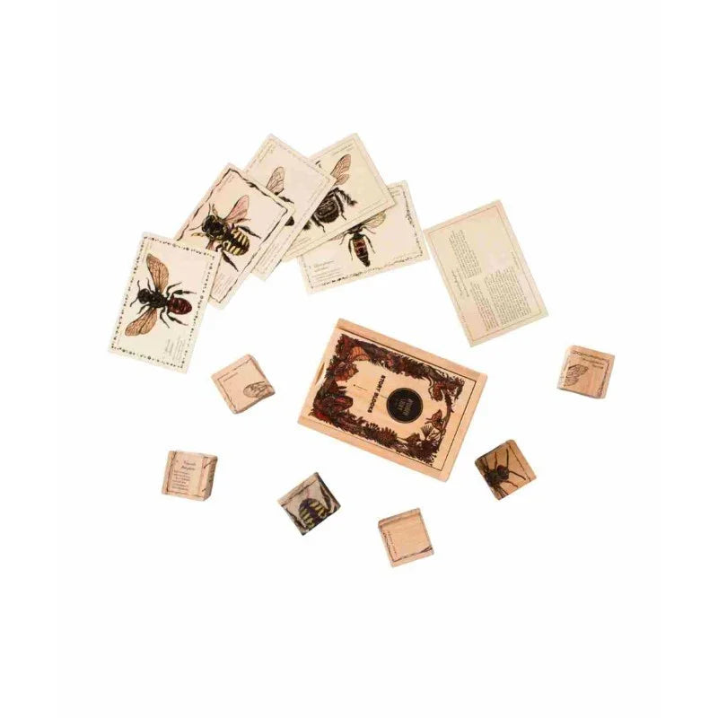 Bee-themed wooden block set with vintage insect illustrations and educational cards